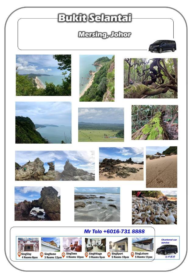 Singhome Holiday House Mersing Exteriér fotografie